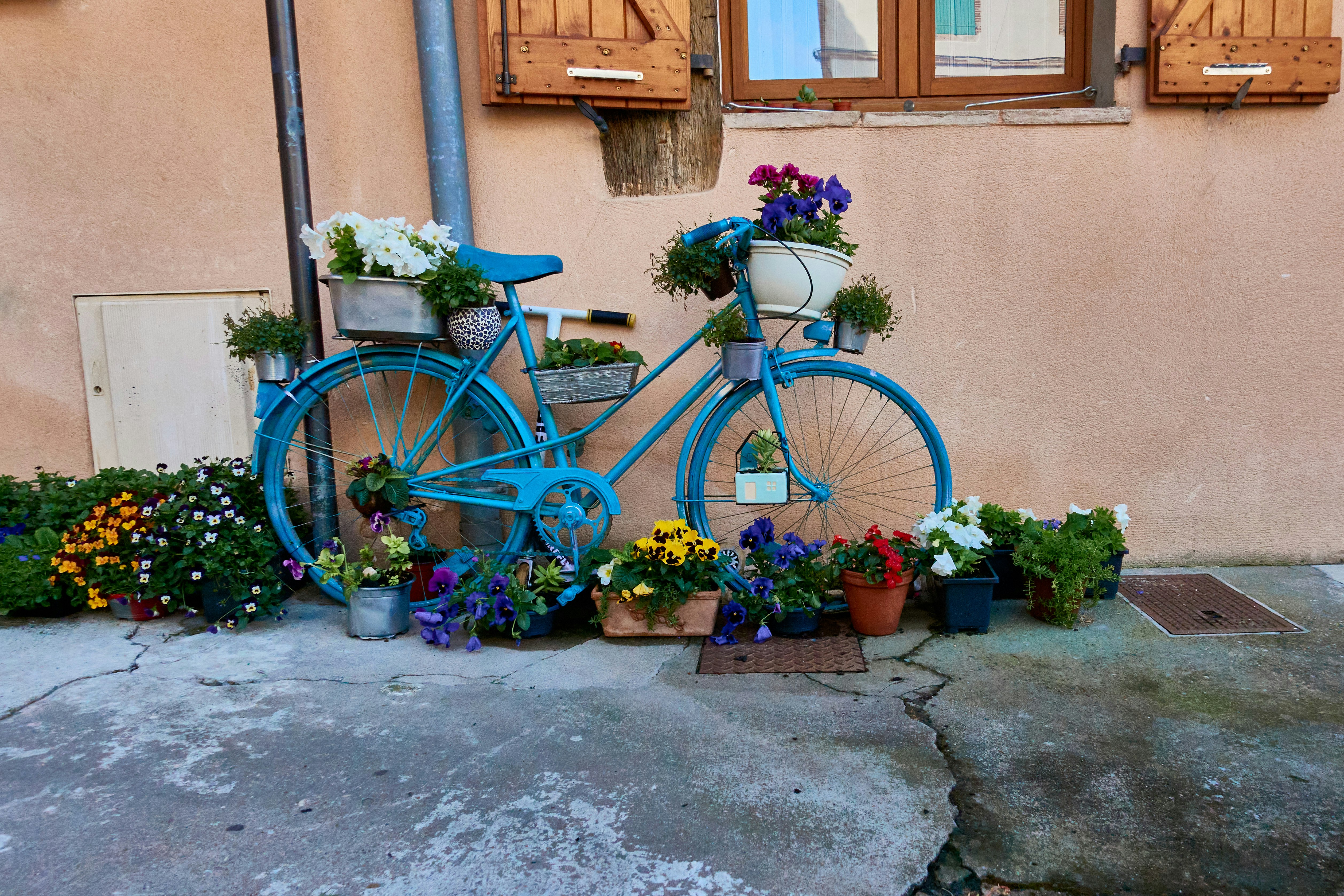 blue city bike with flowers